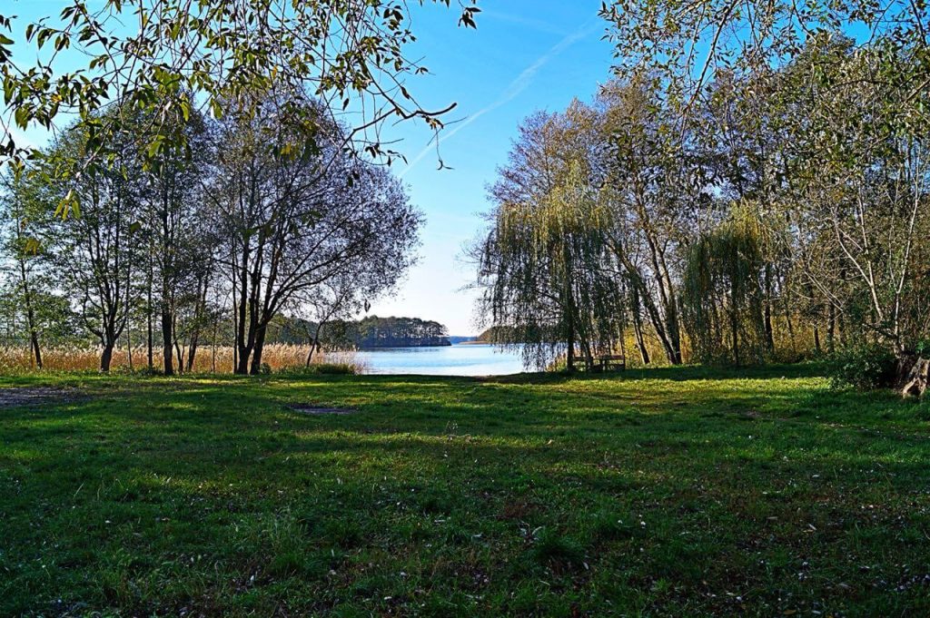 Seddiner See im Sommer