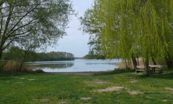 Seddiner See im Sommer